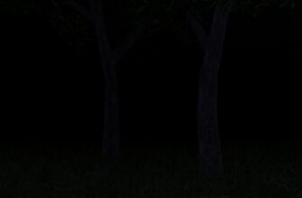 Dark Forest