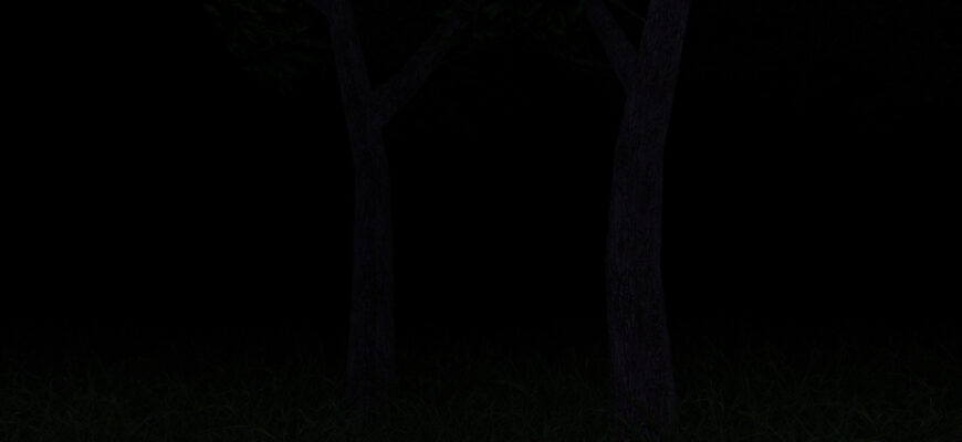 Dark Forest