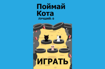 Поймай Кота