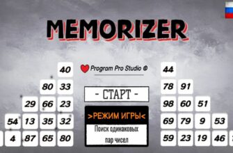 Memorizer